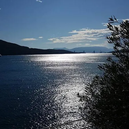 Orange Tree Mediterranean Beachfront House * Neum