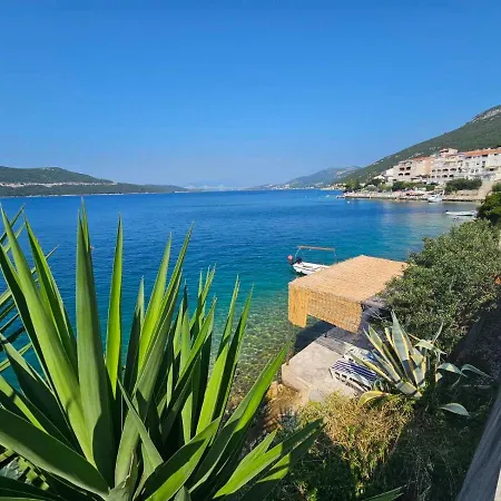 Orange Tree Mediterranean Beachfront House Neum