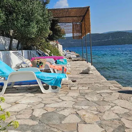 Orange Tree Mediterranean Beachfront House Neum
